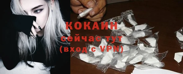 сатива Волоколамск