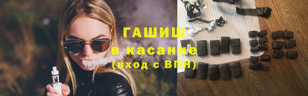 сатива Волоколамск