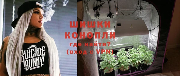 ГАЛЛЮЦИНОГЕННЫЕ ГРИБЫ Верхнеуральск