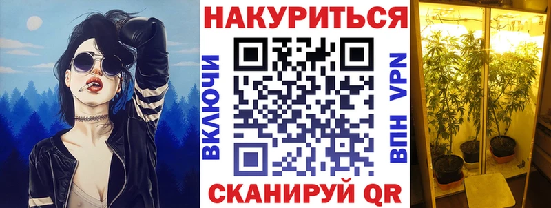 как найти закладки kraken ссылки Бошки Шишки гибрид Жиздра